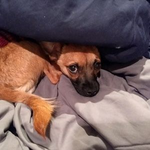 Meet your Posher, Ray